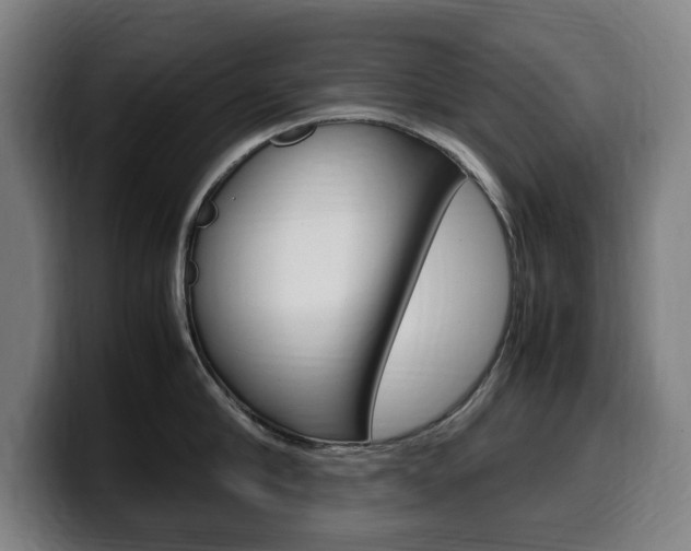 X0000099490910200805150925