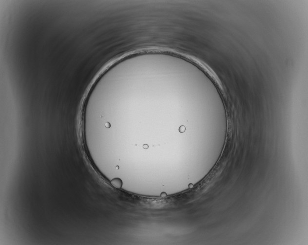 X0000099490911200805150925