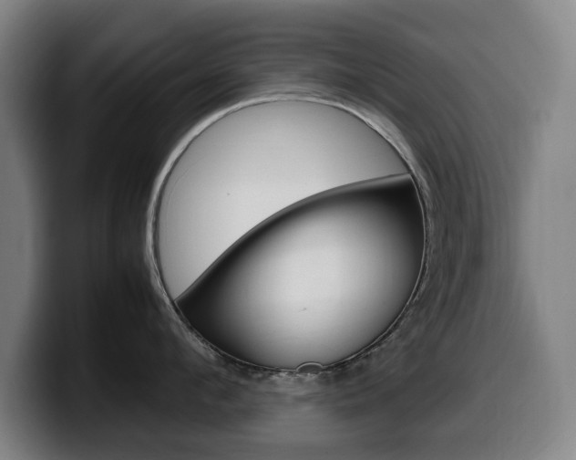 X0000099490912200805150925
