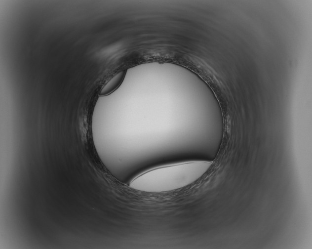 X0000099490915200805150924