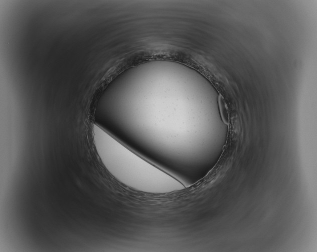 X0000099490916200805150924