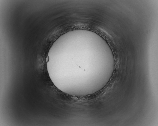 X0000099490917200805150924