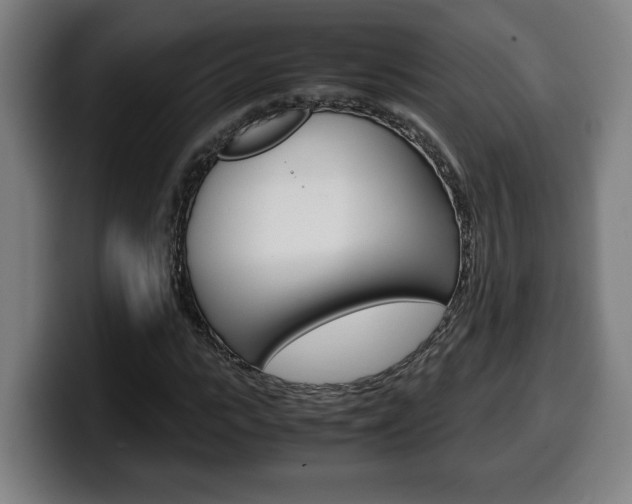 X0000099490919200805150924