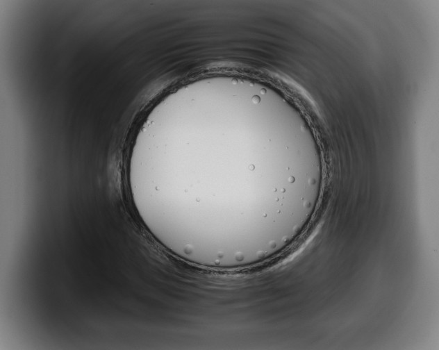 X0000099490921200805150924