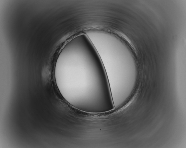 X0000099490922200805150924