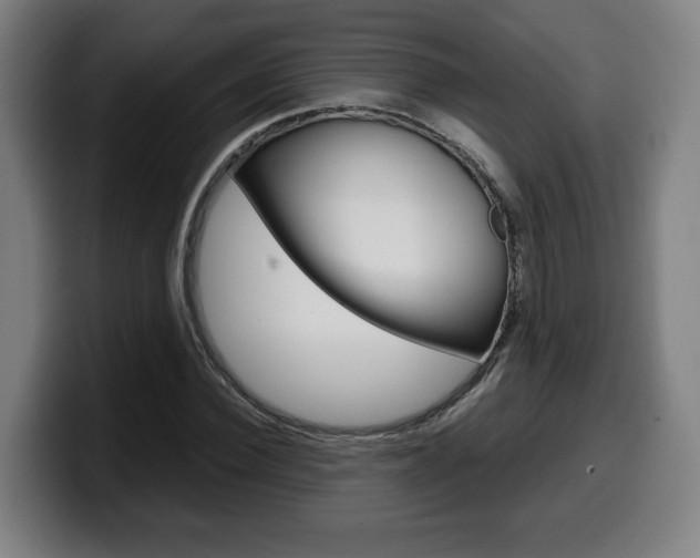 X0000099490924200805150924