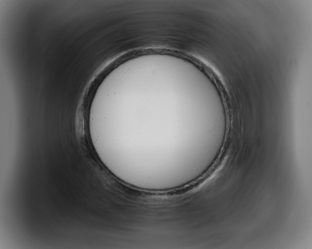 X0000099490925200805150924