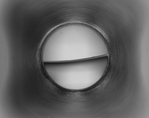 X0000099490926200805150924
