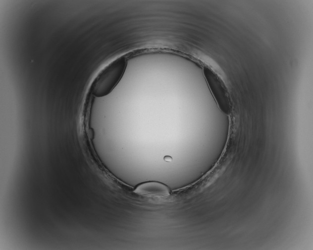 X0000099490928200805150924