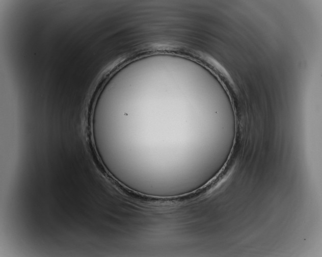 X0000099490930200805150924