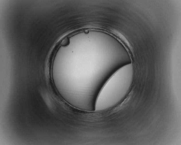 X0000099490931200805150924