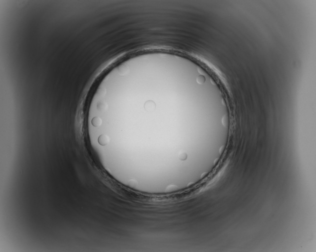 X0000099490933200805150924