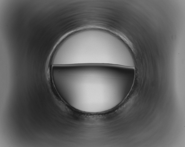 X0000099490934200805150924
