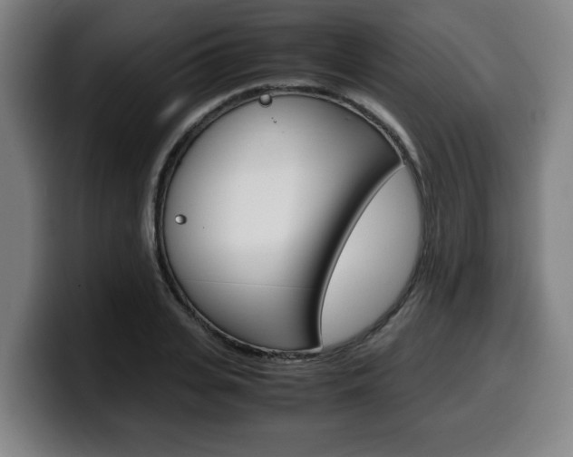 X0000099490935200805150924