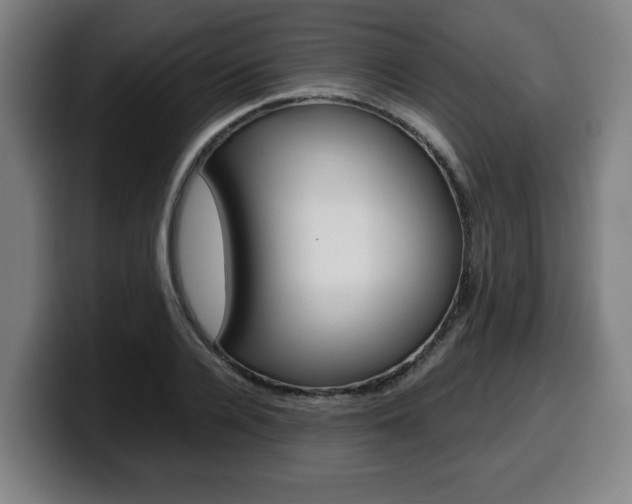 X0000099490936200805150924