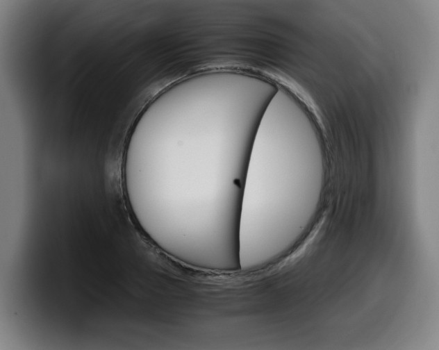 X0000099490937200805150924