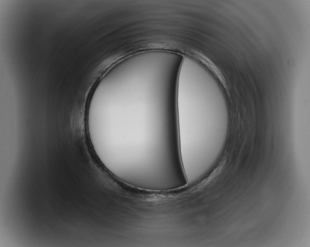 X0000099490938200805150925
