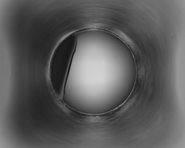 X0000099490940200805150925