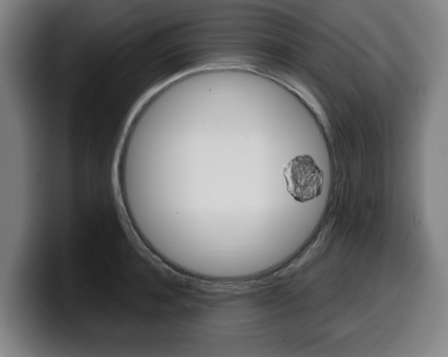 X0000099490944200805150925