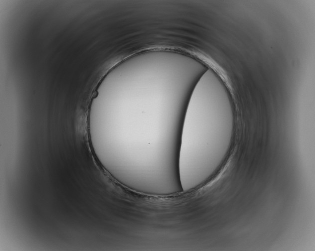 X0000099490945200805150925