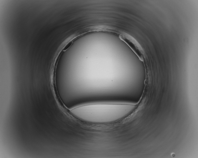 X0000099490946200805150925