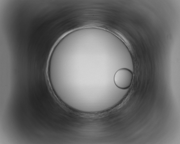 X0000099490948200805150925