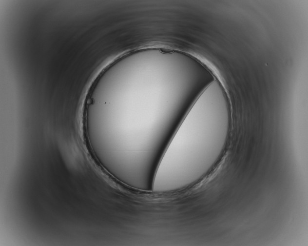 X0000099490949200805150925