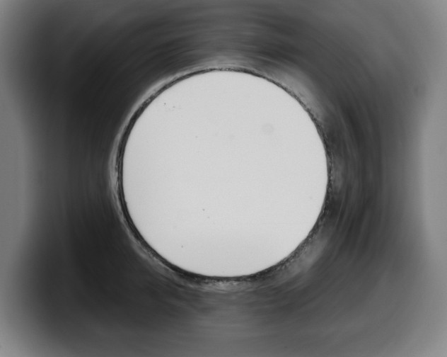 X0000099490950200805150925