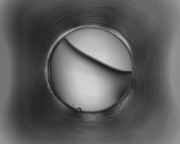 X0000099490951200805150925