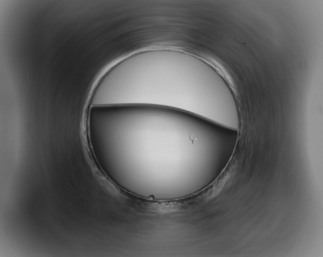 X0000099490952200805150925