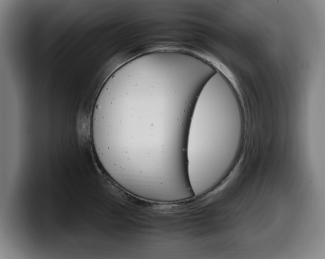 X0000099490953200805150925