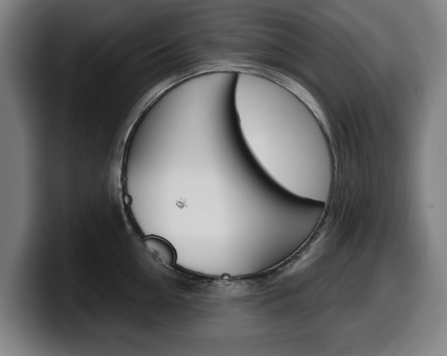 X0000099490954200805150925