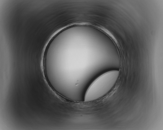 X0000099490959200805150925