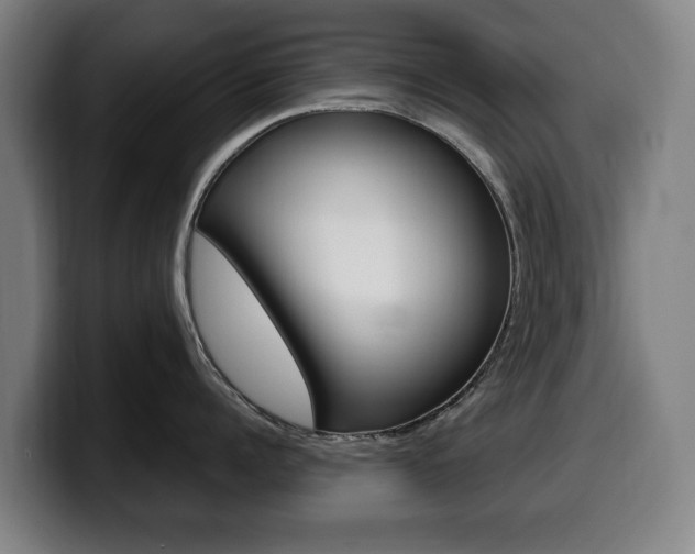 X0000099490960200805150925