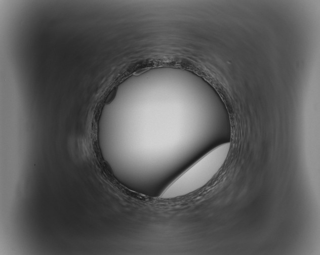 X0000099490961200805150924
