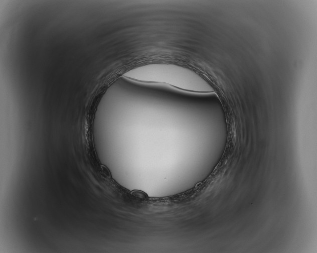 X0000099490964200805150924