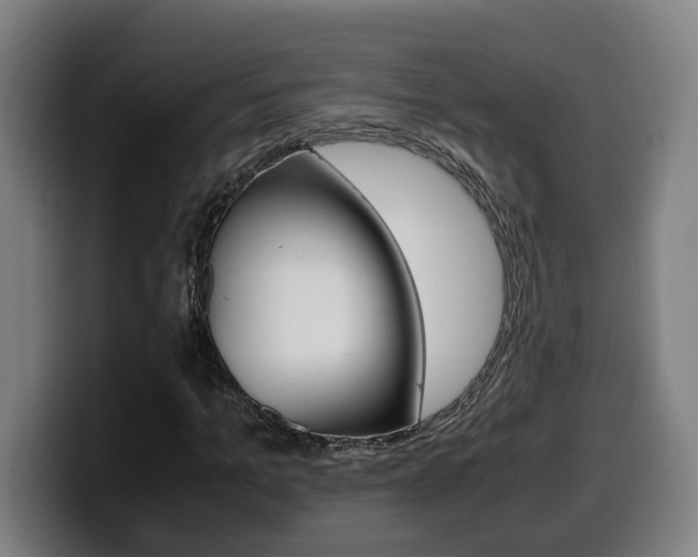 X0000099490965200805150924