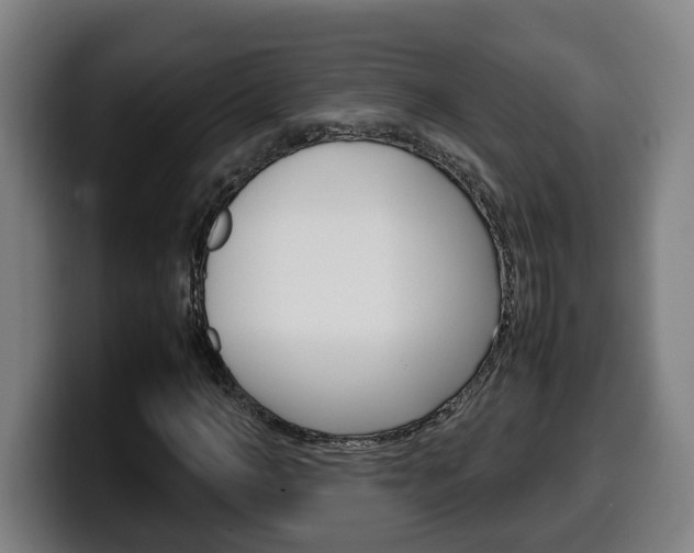 X0000099490966200805150924