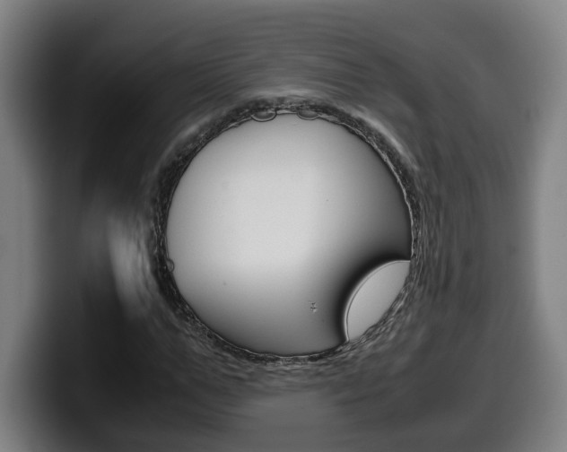 X0000099490967200805150924