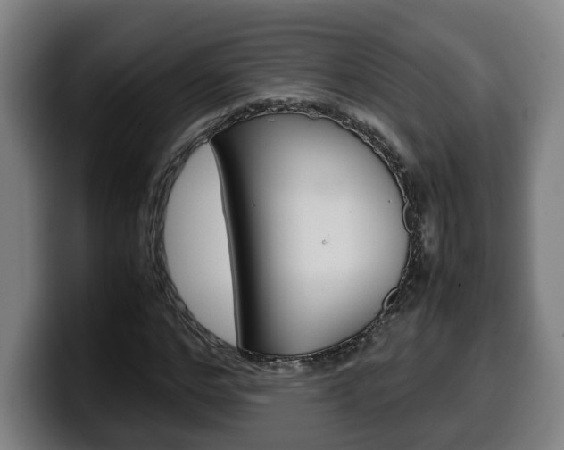 X0000099490968200805150924