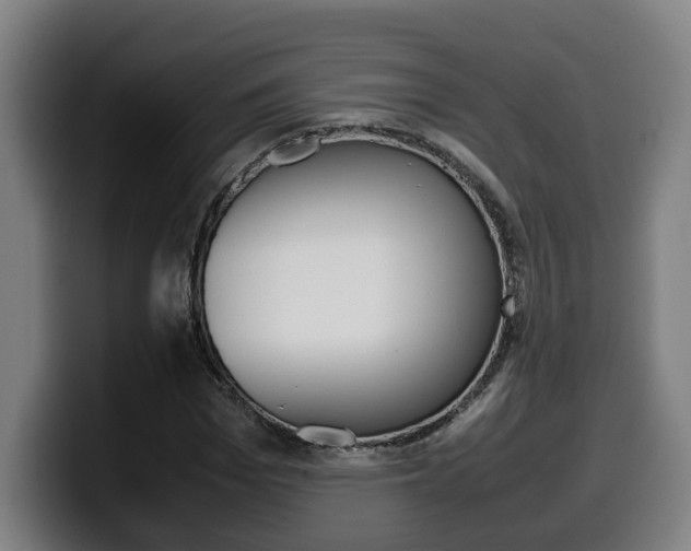 X0000099490969200805150924