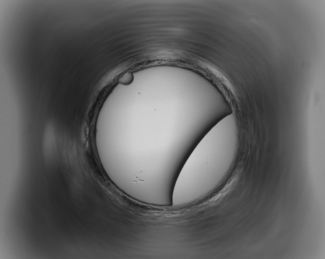 X0000099490970200805150924