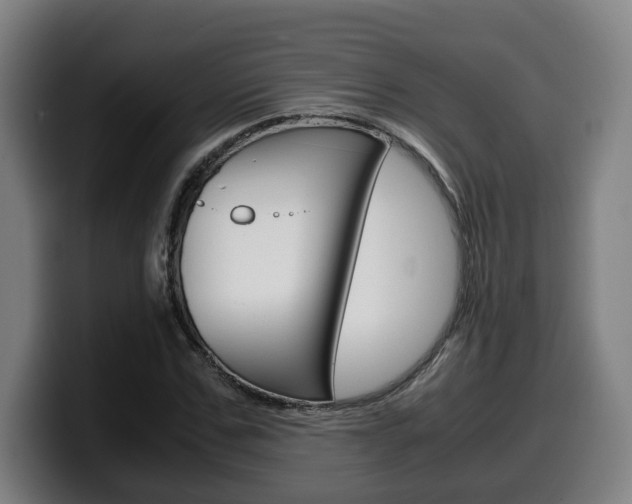 X0000099490971200805150924