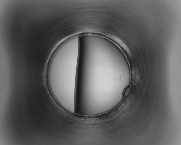 X0000099490972200805150924