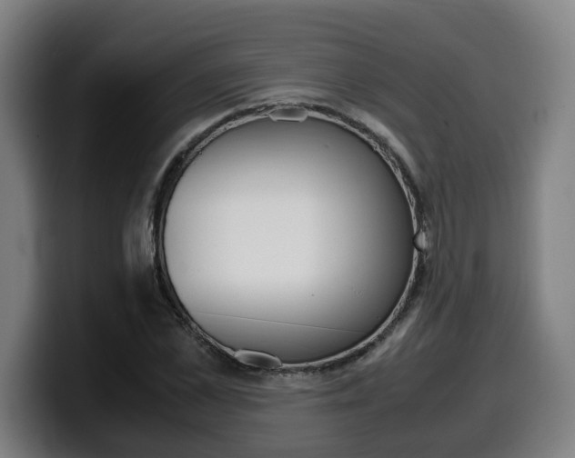 X0000099490973200805150924