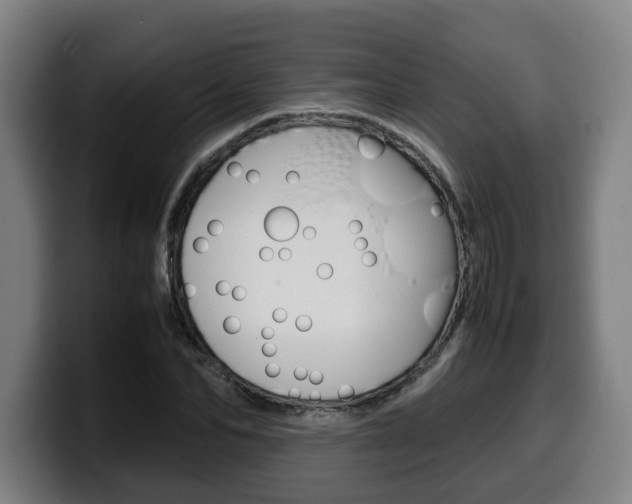 X0000099490974200805150924