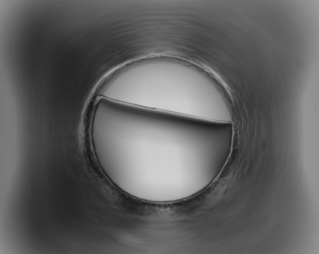 X0000099490975200805150924