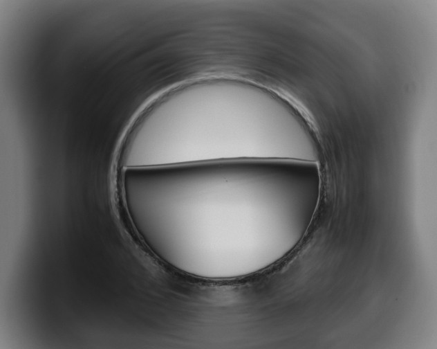 X0000099490976200805150924