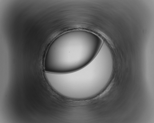X0000099490977200805150924