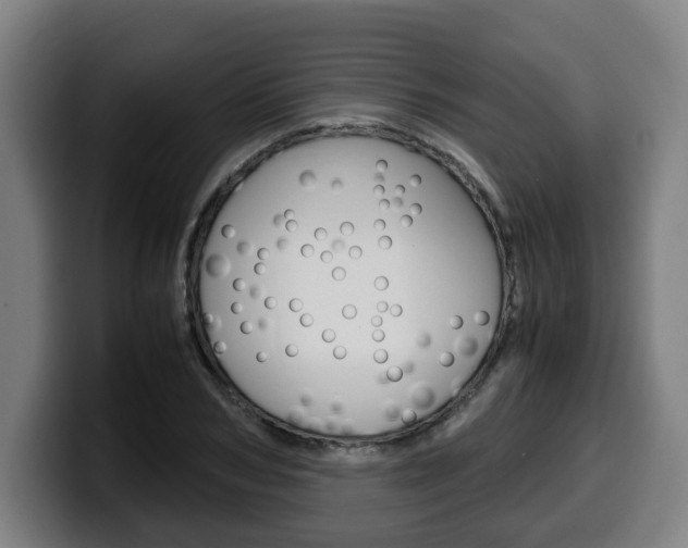 X0000099490978200805150924